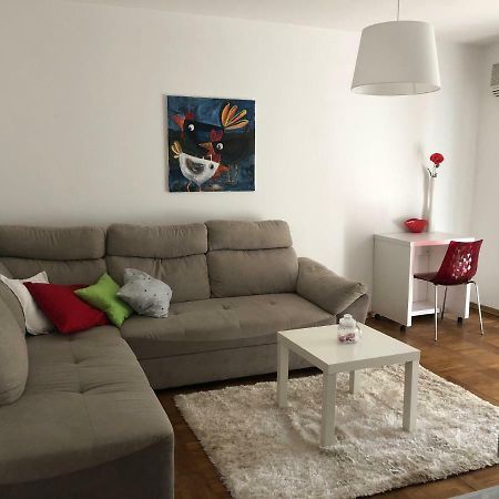 Apartment Safran Novigrad (Istria) Exterior foto