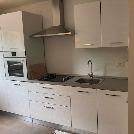 Apartment Safran Novigrad (Istria) Exterior foto